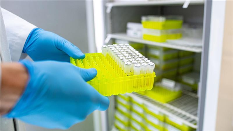 Zahl der Ehec-Infektionen in MV steigt - Einsatz in Kita Ehec ist meldepflichtig. (Archivbild)