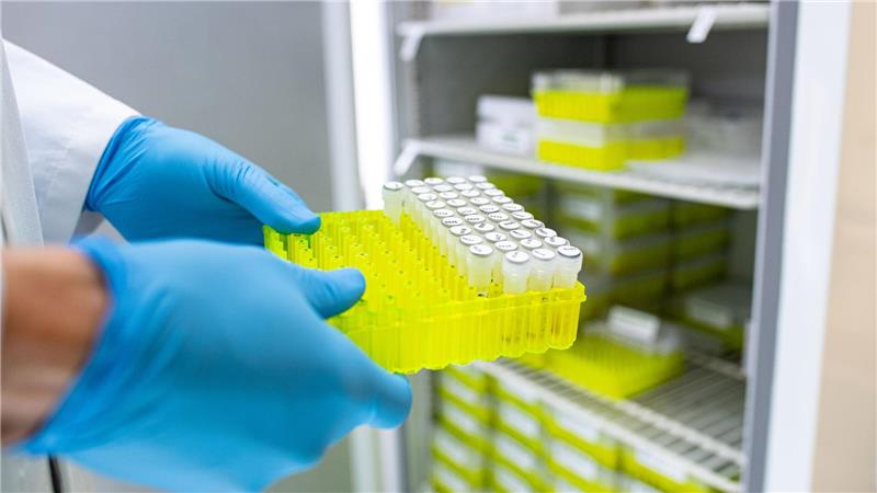 Ehec steht für enterohämorrhagische Escherichia coli und bezeichnet bestimmte krankmachende Stämme dieses im Darm vorkommenden Bakteriums.