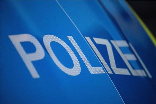 Ein 19-Jähriger, der seine Eltern und seinen Bruder getötet haben soll, ist in Untersuchungshaft gekommen.