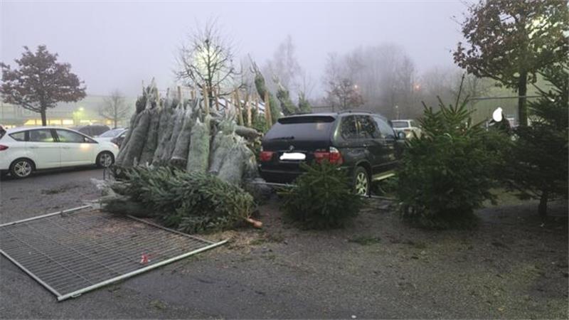 Ein Auto steht in einem Verkaufsstand für Weihnachtsbäume