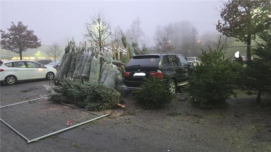 Ein Auto steht in einem Verkaufsstand für Weihnachtsbäume