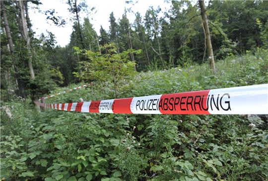 Ein Absperrband der Polizei hängt an einem Waldstück. Foto: picture-alliance/ dpa | Andreas Gebert (Symbolbild)