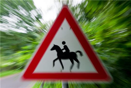 Ein Achtung-Reiter-Schild an einer Straße. Foto: Patrick Pleul