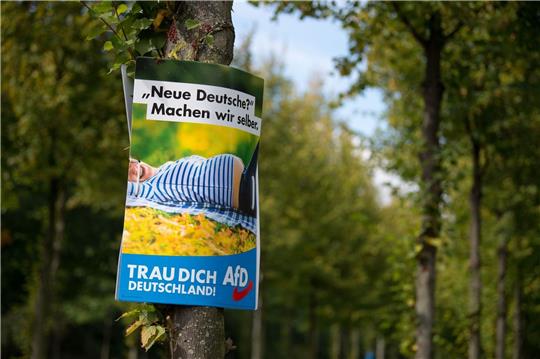 Ein AfD-Wahlplakat aus dem Jahr 2017 in Dresden.