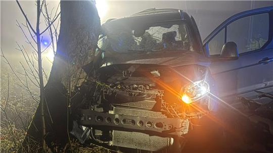 Ein zerknautschtes Auto, das vor einem Baum steht.