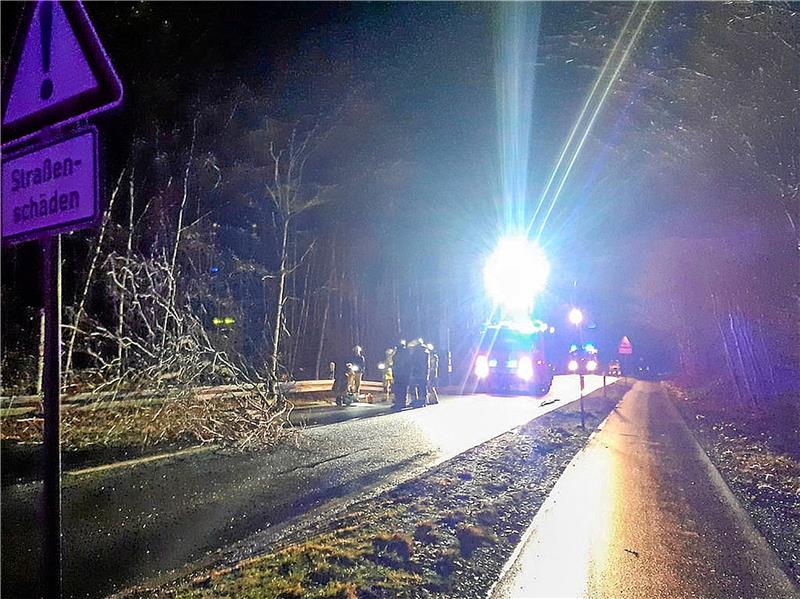 Ein Baum blockiert die Straße zwischen Bad Harzburg und Eckertal. Auch ein Fahrzeug wird dabei beschädigt.  Fotos: Feuerwehr