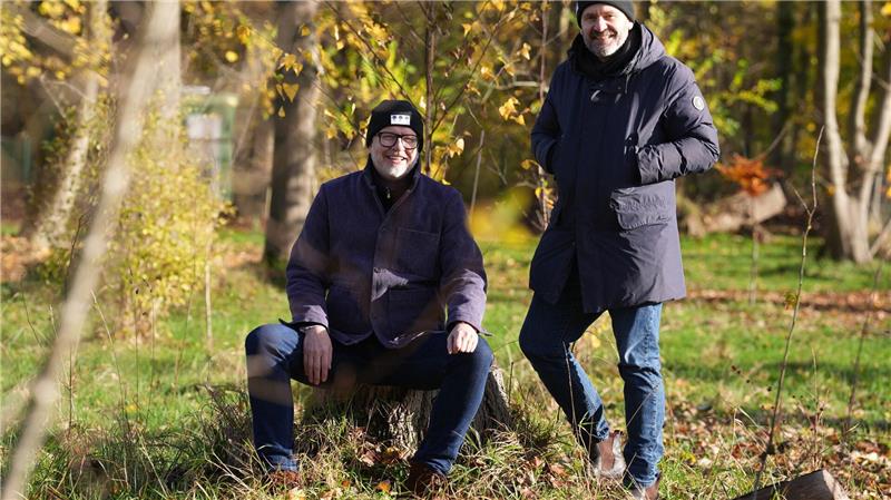 Naturschutz mit Discokugel - Fame Forest wächst Ein Baum für jede Veranstaltung in der Barclays Arena - Naturschutz mit Diskokugel, nennen die Macher das so einfache wie wirkungsvolle Konzept des Fame Forest. (Archivbild)