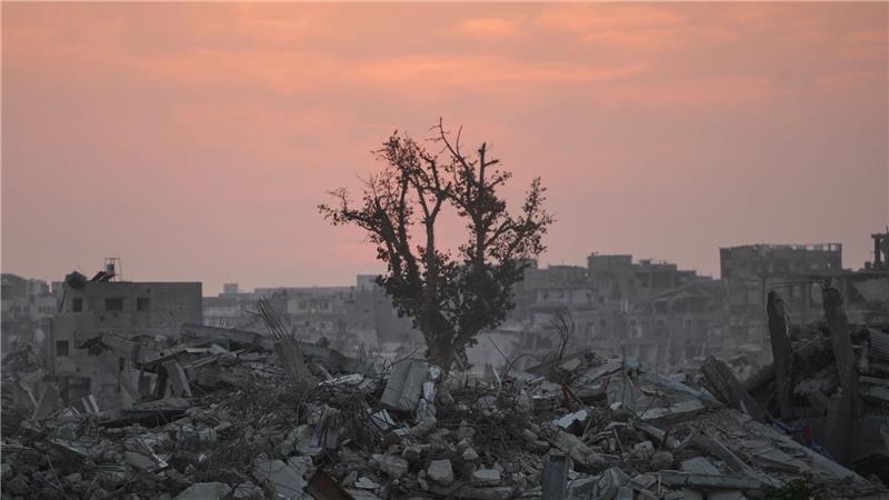 Ein Baum steht inmitten der Ruinen zerstörter Gebäude in Chan Junis im Gazastreifen.