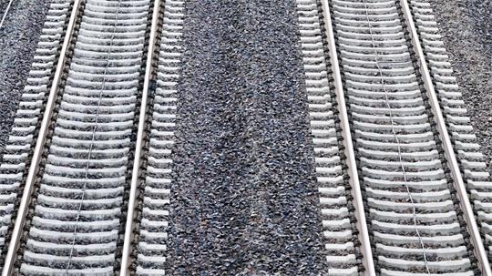 Ein Baum verhinderte die Weiterfahrt für die 155 Fahrgäste der S-Bahn. (Symbolbild)