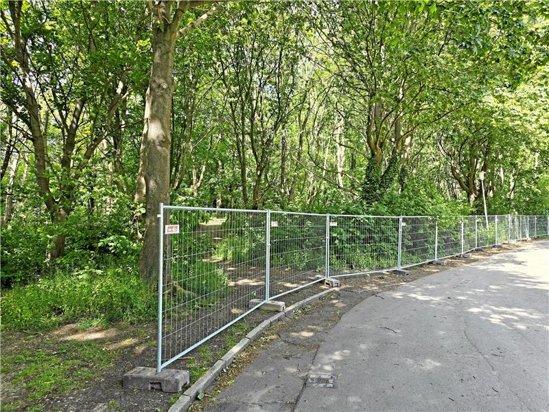 Ein Bauzaun soll in Zukunft verhindern, dass Autos an der Cattenberg-Park-Baustelle im Bereich des geschützten Stadtgartens abgestellt werden. Foto: Sowa