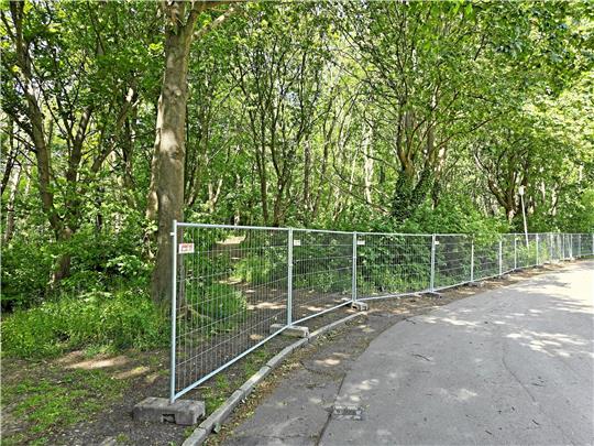 Ein Bauzaun soll in Zukunft verhindern, dass Autos an der Cattenberg-Park-Baustelle im Bereich des geschützten Stadtgartens abgestellt werden. Foto: Sowa