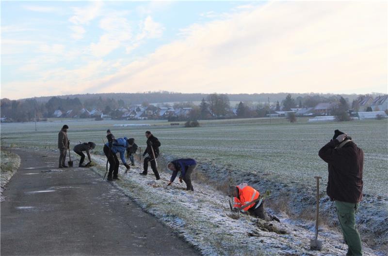 Ein Beitrag für den Artenschutz: Helfer pflanzen bei Dörnten eine Hecke. Foto: GZ-Archiv