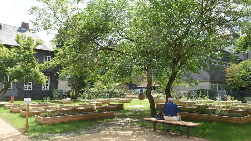 Sanierter Goslarer Klostergarten öffnet wieder Ein Besucher genießt den sanierten Garten hinterm Kloster Neuwerk schon und hat sich mit einem Buch einen der wenigen Schattenplätze ausgesucht.