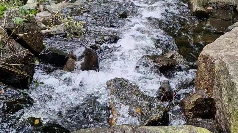 Das Foto zeigt einen Blick ins wilde Okertal.