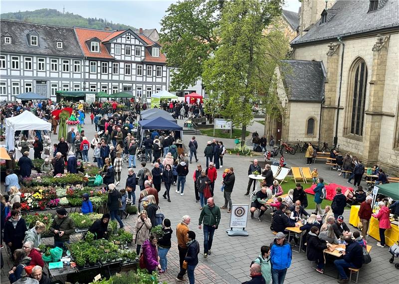 Goslarer Gartenmarkt soll am 5. Mai den Frühling einläuten Ein Blick zurück ins Jahr 2023: Der Gartenmarkt findet auf dem Jakobikirchhof seine Gäste. Foto: GMG