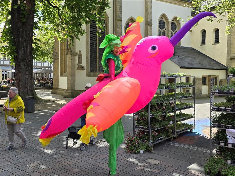 Gartenmarkt Goslar: Von der Cocktail-Minze bis zum Evergreen Ein Blickfang ist der Kolibri.