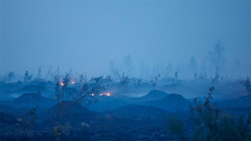 Ein Brand im Hochmoor kann sich unterirdisch fortsetzen. 