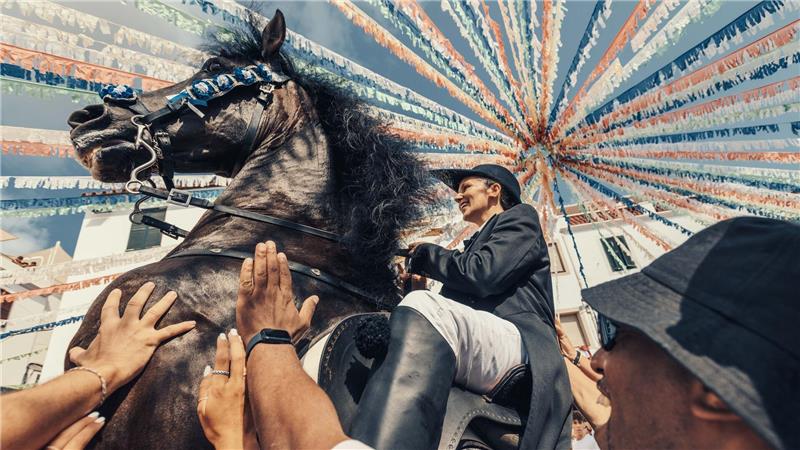 Ein „Caixer“ zäumt sein Pferd inmitten einer jubelnden Menge während des traditionellen „Jaleo“ bei dem Sant Bartomeu Fest in Spanien.