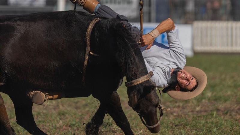 Ein Cowboy wird während eines Rodeofestivals vom Pferd gestoßen.