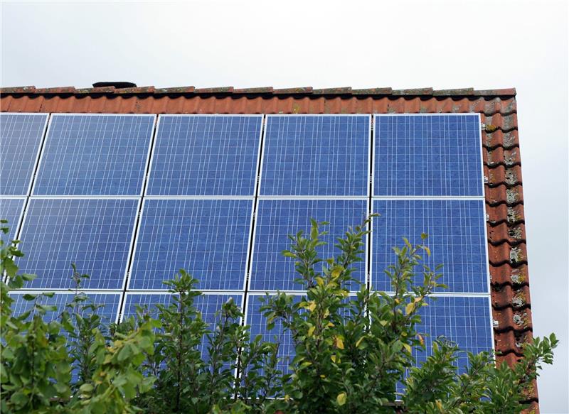 Solarausbau in Niedersachsen gewinnt an Fahrt Ein Dach ist mit Photovoltaik-Modulen bestückt.