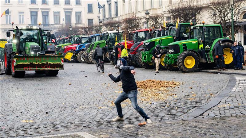Ein Demonstrant wirft eine Kartoffel Richtung Europaparlament. 
