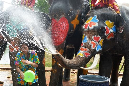 Ein Elefant spritzt mit. Das traditionelle Wasserfest Songkran wird jedes Jahr vom 13. bis 15. April gefeiert.