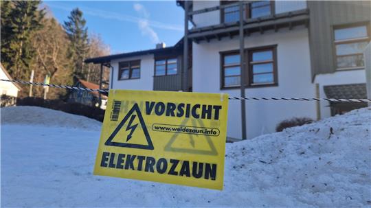 Ein Elektrozaun schützt derzeit den Altenauer Kurpark vor gefräßigen Wildschweinen. 