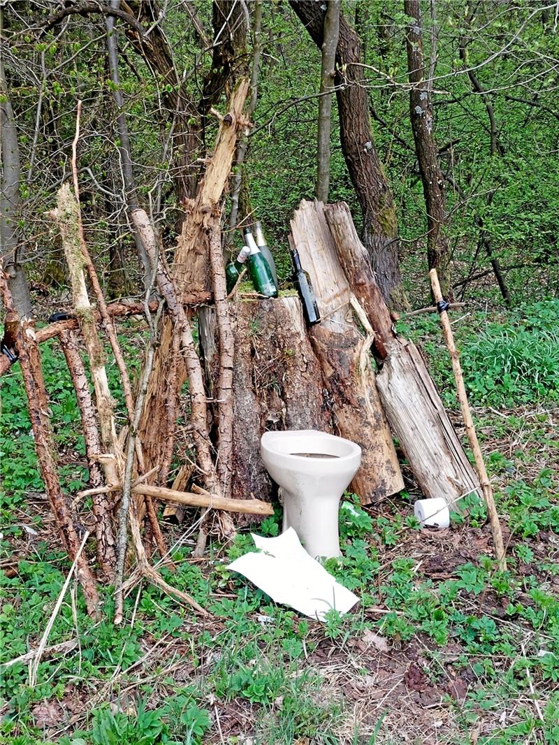 Ein Fall von Müllentsorgung im Wald bei Erbprinzentanne.  Foto: Privat