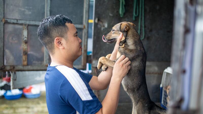 „Welpenmast“ in Vietnam: Wo Hunde durch die Hölle gehen Ein Farmbesitzer nimmt Abschied von einem Hund.
