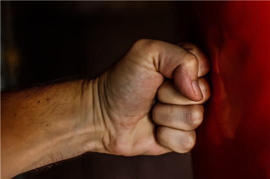 Ein Faustschlag kommt einem 22-jährigen Ex-Harzburger jetzt teuer zu stehen. Symbolfoto: Pixabay