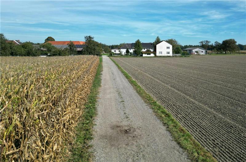 Joggerin von Hund totgebissen - Tier eingeschläfert Ein Feldweg in Naarn.