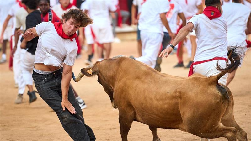Ein Festbesucher weicht in der Stierkampfarena einem Kalb aus, nachdem beim San-Fermin-Fest der achte Stierlauf stattgefunden hat.