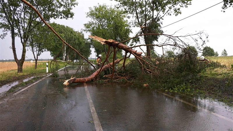 Ein Feuerwehrmann befreit bei Ludwigslust-Parchim eine Straße nach einem Gewitter von einem herabgefallenen Ast.