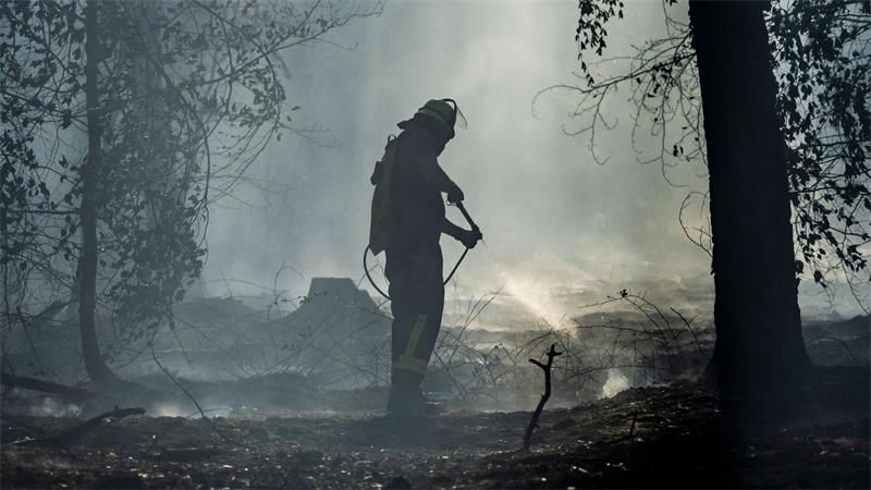 Ein Feuerwehrmann ist mit Löscharbeiten in einem Waldstück bei Rodenbach beschäftigt.