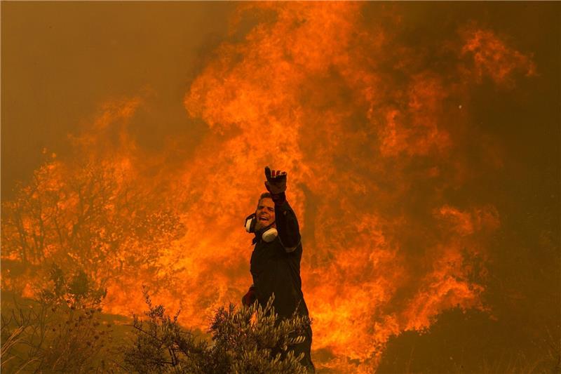 Ein Feuerwehrmann kämpft im griechischen Dorf Hasia nahe Athen gegen ein Flammenmeer.
