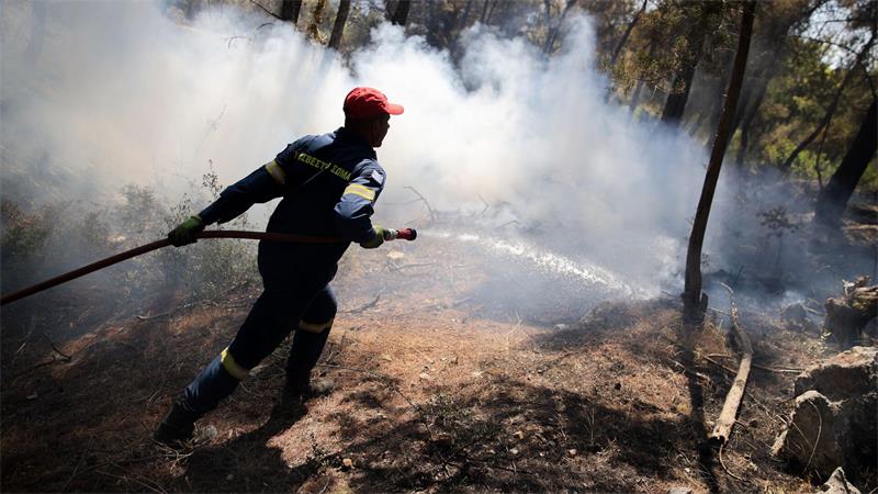 Ein Feuerwehrmann löscht ein Feuer in einem Waldgebiet bei Psatha.