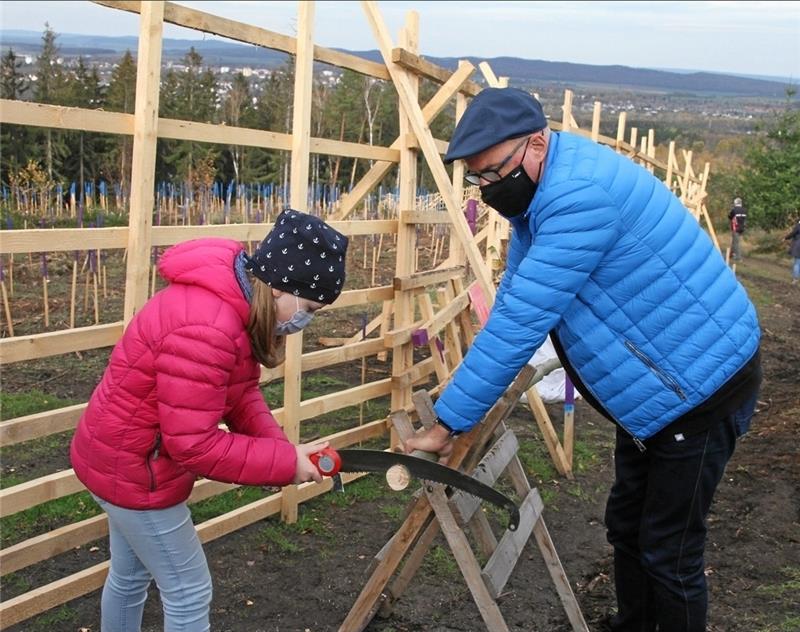Goslarer Verein pflanzt 12.500 Bäume Ein Gatter für den zukünftigen Wald: Der Bau von Umzäunungen, um die jungen Bäume vor knabbernden Rehen zu schützen, wird auch dieses Jahr weitergehen. Archivfoto: Leifeld