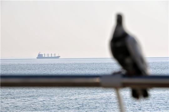 Ein Getreidefrachter im Schwarzem Meer vor Odessa. (Symbolbild)