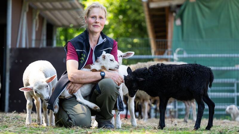 Gnadenhof braucht Hilfe - Pferde und Lämmer zu teuer Ein Gnadenhof für Tiere bei Uelzen kommt an seine Grenzen.