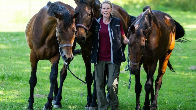 Gnadenhof braucht Hilfe - Pferde und Lämmer zu teuer Ein Gnadenhof für Tiere bei Uelzen kommt an seine Grenzen.