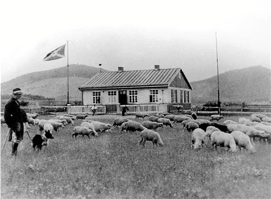 Ein Haus mitten in der Landschaft – wo einmal das „Flughafenabfertigungsgebäude“ des zivilen Flughafens (um 1927) stand und die Schafe auf der Wiese weideten, ist heute ein asphaltierter Kreuzungsbereich in Jürgenohl entstanden. Foto: Stadtarchiv