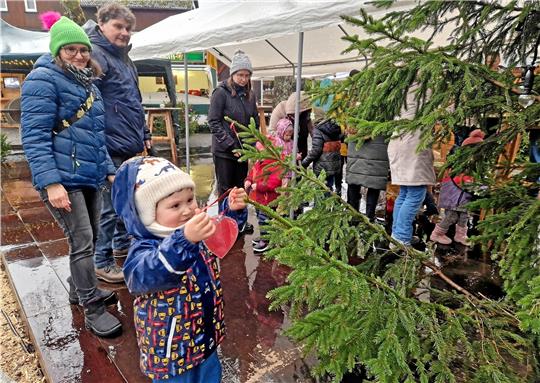 Ein Herz für den Altenauer Wintermarkt: Kinder schmücken zusammen mit ihren Eltern den riesigen Weihnachtsbaum. Foto: Knoke