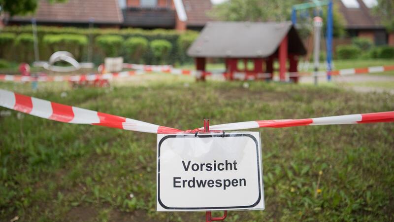 Ein Hinweisschild zu Erdwespen steht an einem Kinderspielplatz.