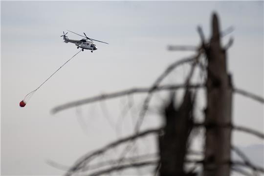 Ein Hubschrauber fliegt bei Löscharbeiten über das Gebiet zwischen Brocken und Wurmberg. Der Großbrand am Brocken im Harz hat sich in der Nacht zum Mittwoch nicht weiter ausgebreitet. Foto: Swen Pförtner/DPA