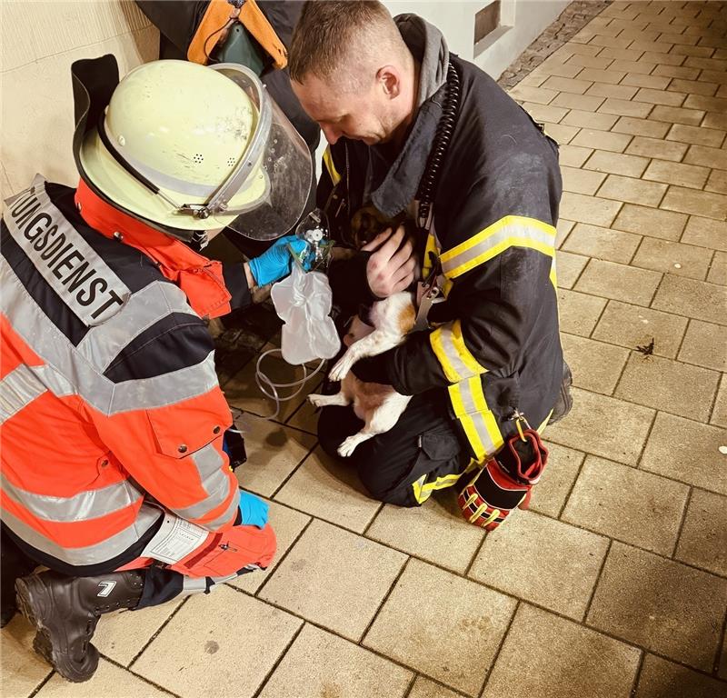 Ein Hund musste vor Ort von den Rettungskräften mit Sauerstoff versorgt werden. Foto: Feuerwehr Goslar