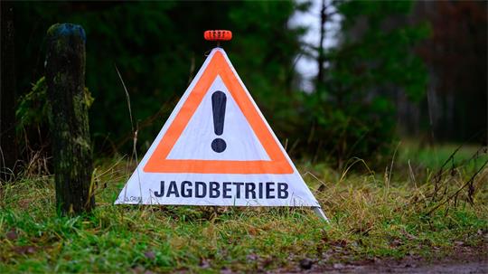 Ein Jäger steht nach einem mutmaßlichen Jagdunfall in Cloppenburg vor Gericht. (Symbolbild) 