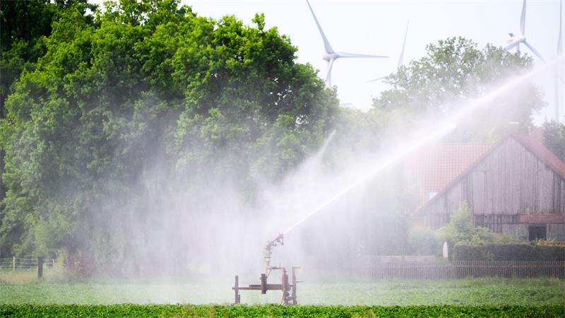 Ein Kartoffelfeld wird bewässert – doch die Grundwasserspiegel sinken. (Archivbild)