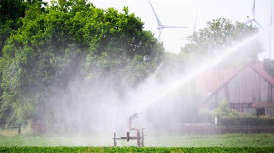 Ein Kartoffelfeld wird bewässert – doch die Grundwasserspiegel sinken. (Archivbild)