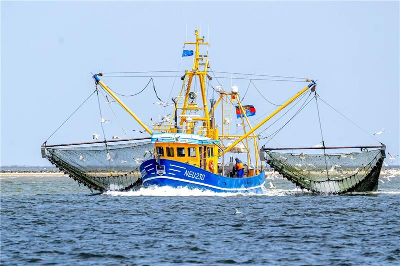 EU-Aktionsplan zu Meeresschutz Ein Krabbenkutter ist auf der Nordsee unterwegs.