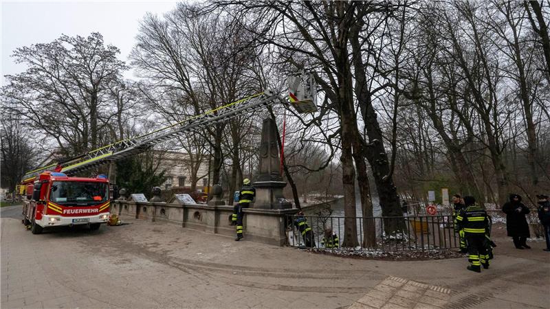 Ein Kran war im Einsatz. 